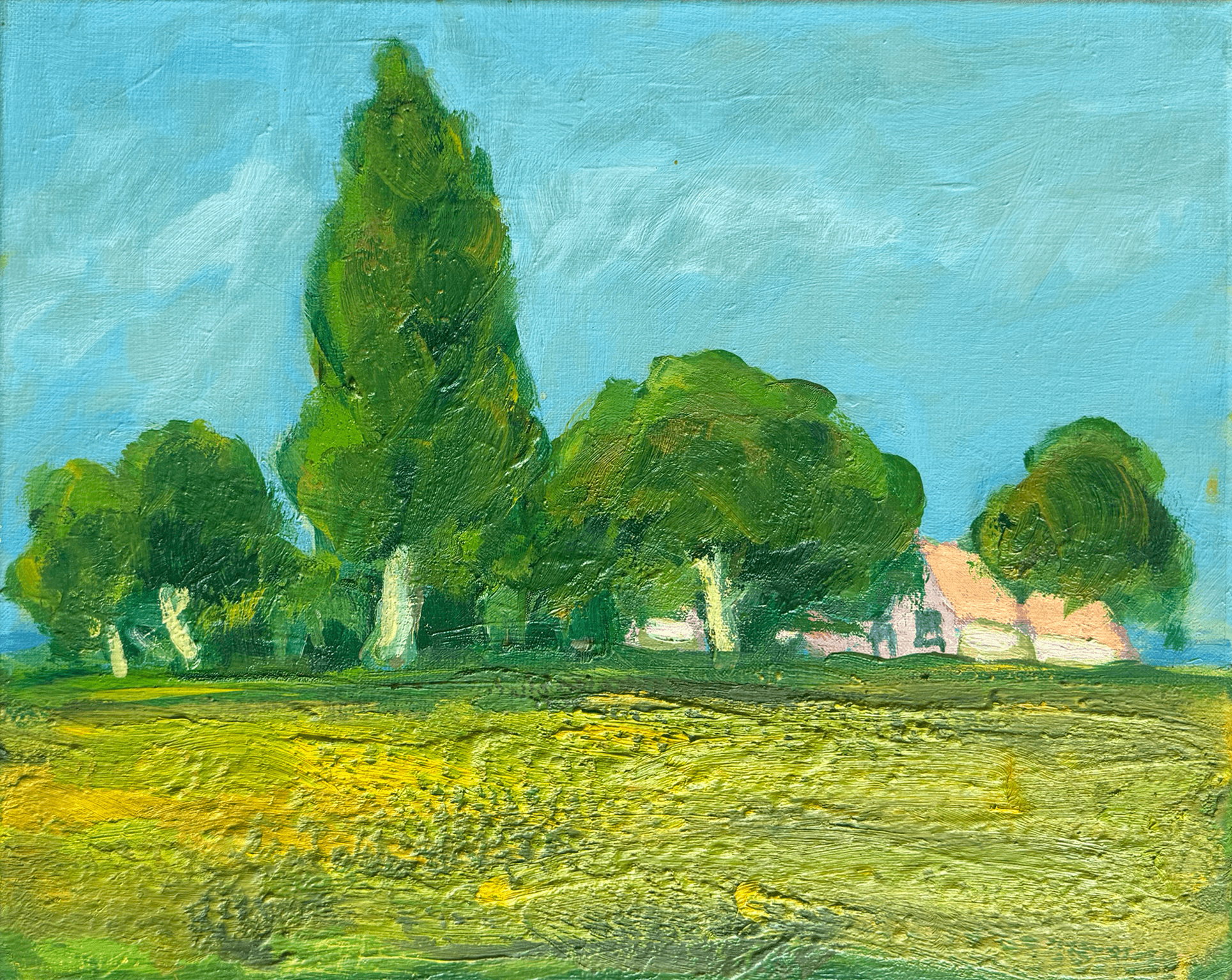 Wim van der Veer - Landschap met boerderij (zonder lijst)