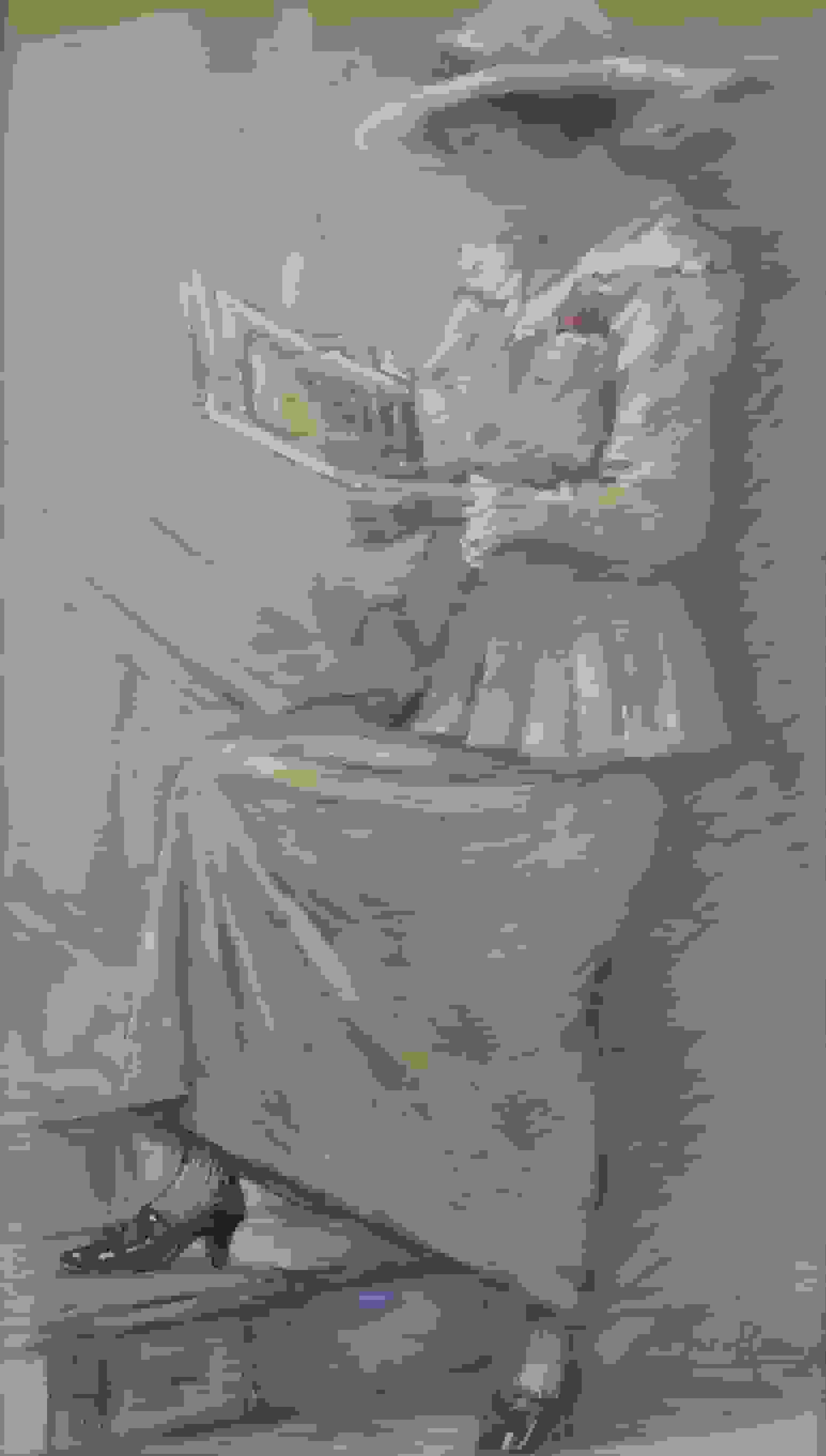 Jacob van Rossum - Elegante lezende dame