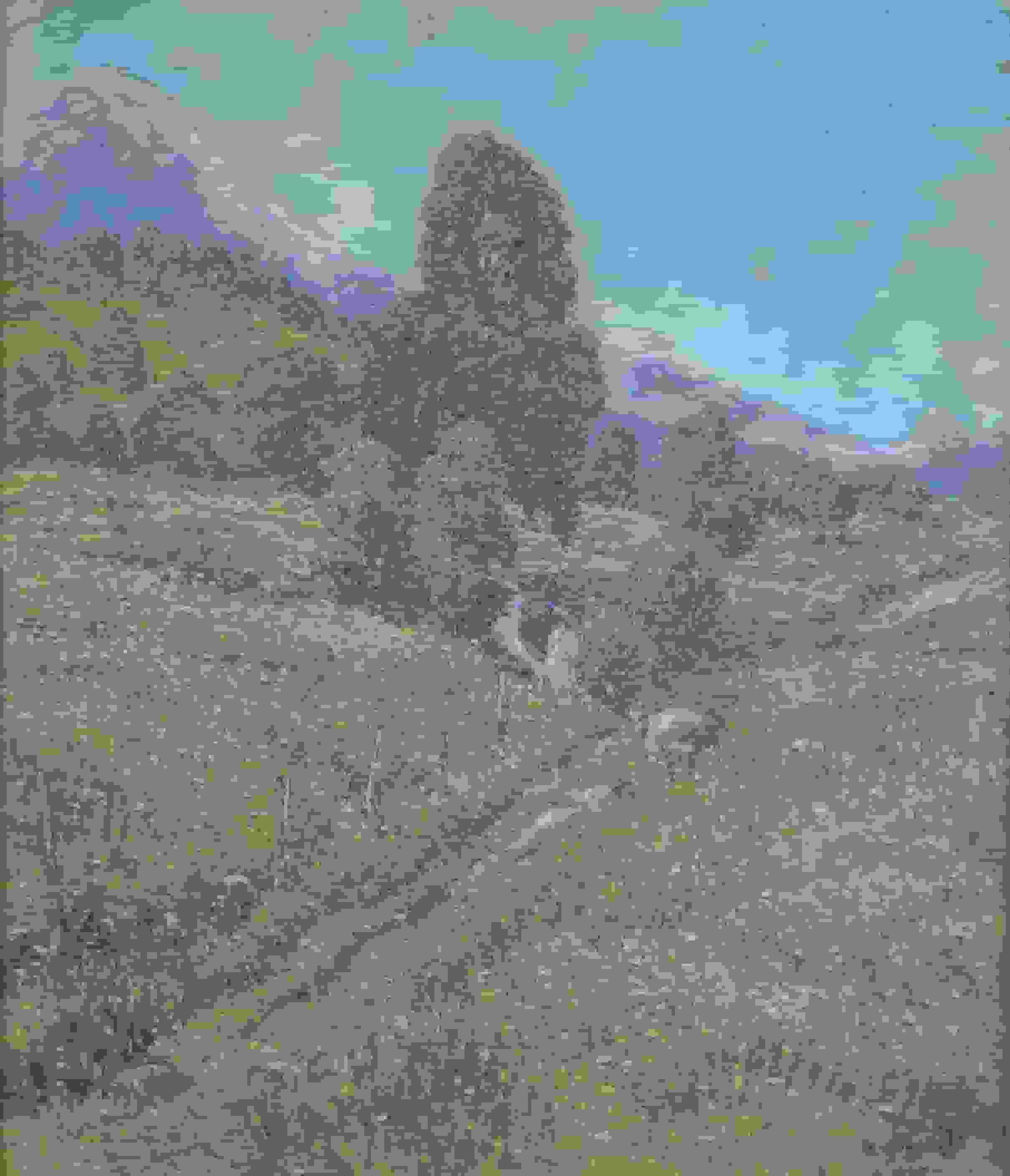 William Henry Singer - Noors berglandschap